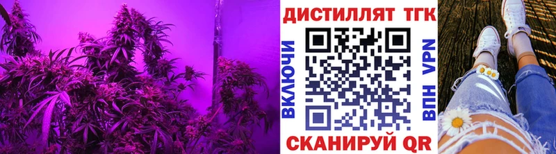 ТГК THC oil  наркотики  Закаменск 