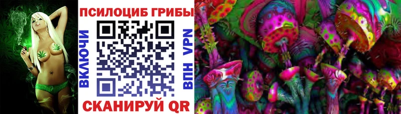 MEGA ONION Закаменск Псилоцибиновые грибы Psilocybine cubensis где найти наркотики